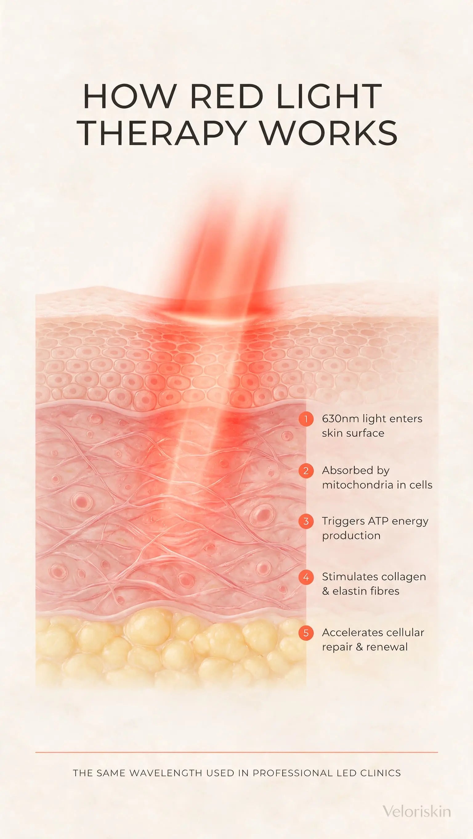 Veloriskin LED Light Therapy Mask + FREE Neck Piece + FREE Serum